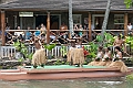 IMG_4541
