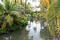 IMG_4561