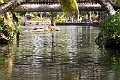 IMG_4587