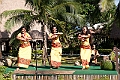 IMG_4593