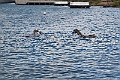 IMG_4773