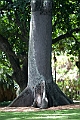IMG_4871