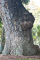 IMG_4872