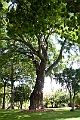 IMG_4879