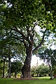 IMG_4884