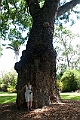 IMG_4885
