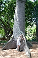 IMG_4891