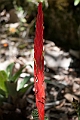 IMG_4906