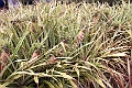 IMG_5033