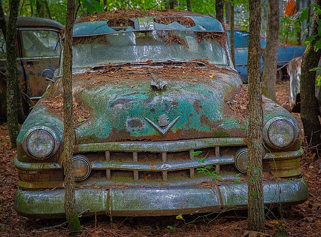 1G0A2440-Edit.jpg