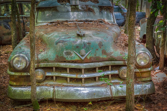 1G0A2919_tonemapped.jpg