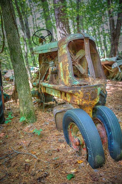 1G0A2924_tonemapped.jpg