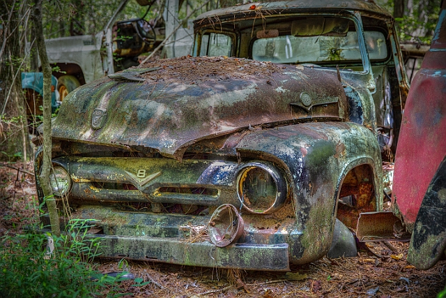 1G0A2961_tonemapped.jpg