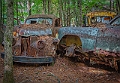 1G0A2464-Edit