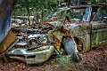 1G0A2648_49_50_51_52