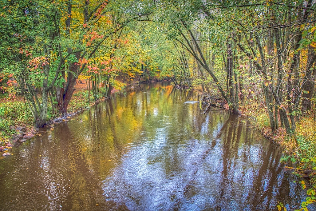 1G0A7644_tonemapped.jpg