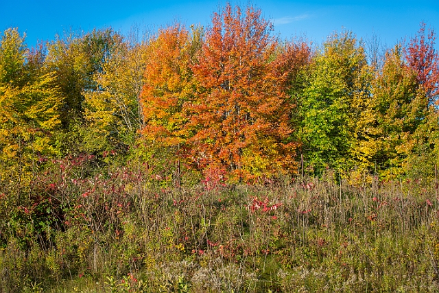 1G0A7739-HDR.jpg