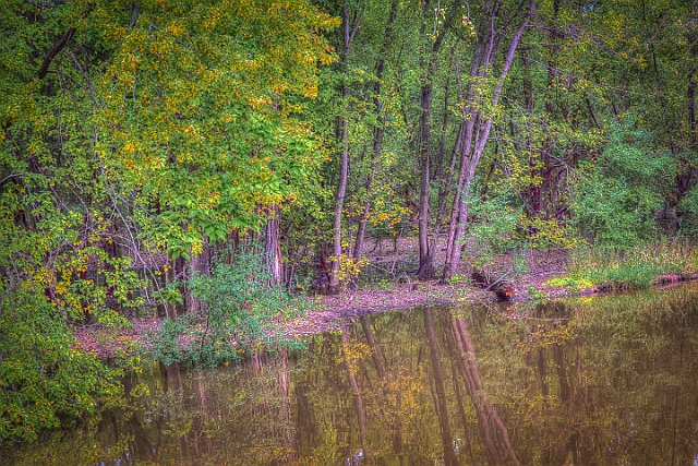 1G0A8099_tonemapped.jpg