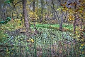 1G0A8045_6_7_8_9