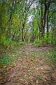 1G0A8080_AuroraHDR2018-edit