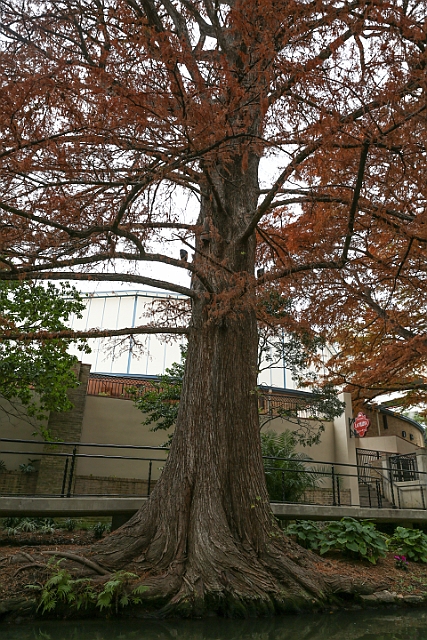 1G0A7692.jpg
