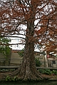 1G0A7692