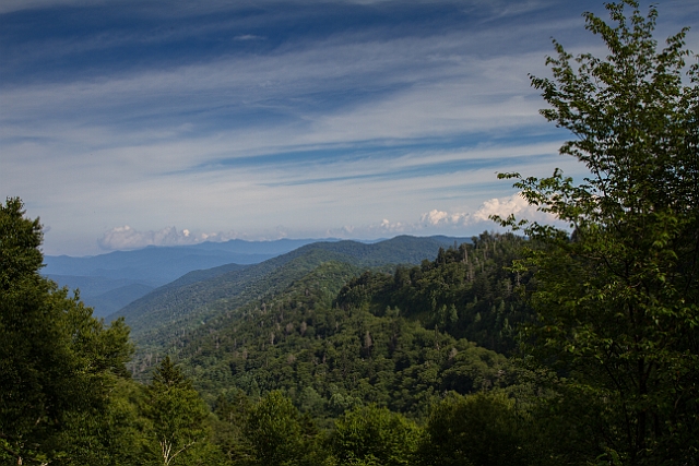 IMG_6108.jpg