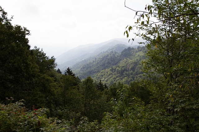 IMG_6254.jpg