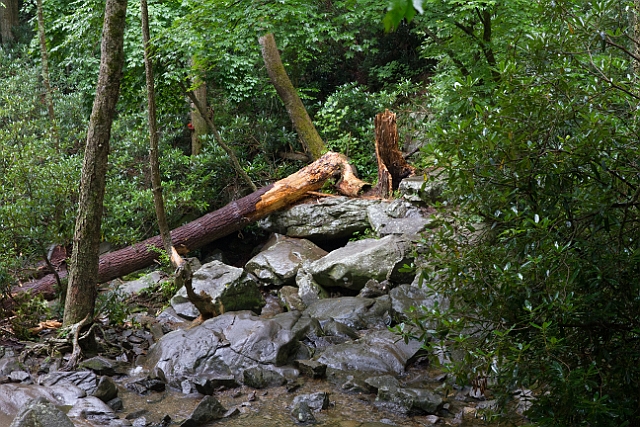 IMG_6843.jpg