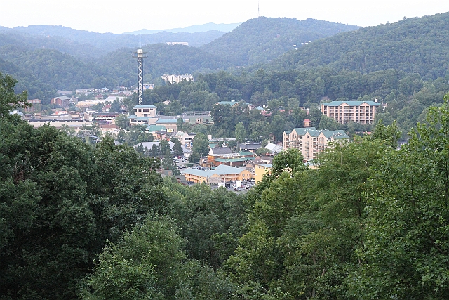 IMG_6876.jpg