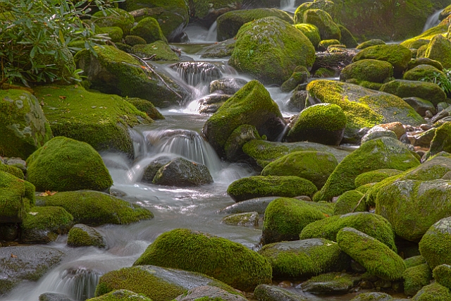 Untitled_HDR2-2.jpg