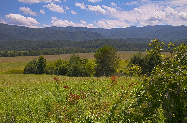 sm3_HDR2-2.jpg