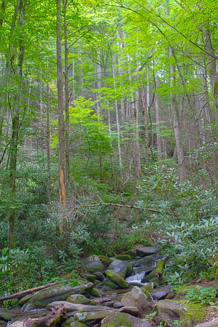sm6_HDR2.jpg
