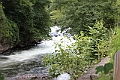 IMG_5757