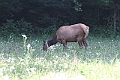 IMG_6087