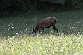 IMG_6090