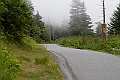 IMG_6193
