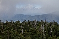 IMG_6246