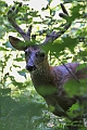 IMG_6340