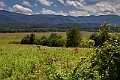 IMG_6356