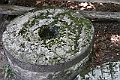 IMG_6404