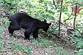 IMG_6511