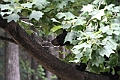 IMG_6573