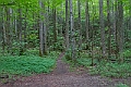 IMG_6926