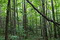 IMG_6928