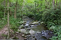 IMG_6950