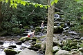 IMG_6954