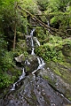 IMG_6969
