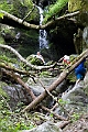 IMG_6972