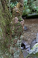 IMG_7016
